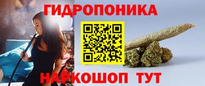 ГАЛЛЮЦИНОГЕННЫЕ ГРИБЫ Гусев