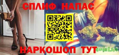 гашик Гусиноозёрск